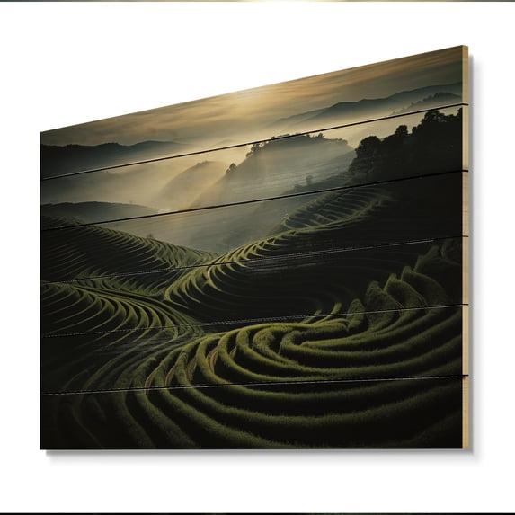 Designart "Dynamic Views of the Vineyard II" Landscapes Print on Natural Pine Wood