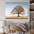 thumbnail image 1 of Designart "Earthy Oak Contours" Tree Oak Canvas Wall Art, 1 of 7
