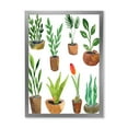 thumbnail image 1 of Designart 'Eight House Plants In Claypots' Traditional Framed Art Print, 1 of 4