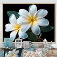 thumbnail image 1 of Designart "Elegance In Charming Plumeria I" Plumeria Floater Framed Canvas Art Print, 1 of 5