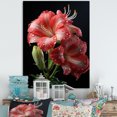 thumbnail image 1 of Designart "Elegance of Pink Lily Flowers II" Floral Canvas Wall Art - Modern Pink Lily Entryway Wall Art Print, 1 of 6