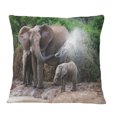 thumbnail image 1 of Designart Elephant Spraying Water - African Throw Pillow - 18x18, 1 of 1