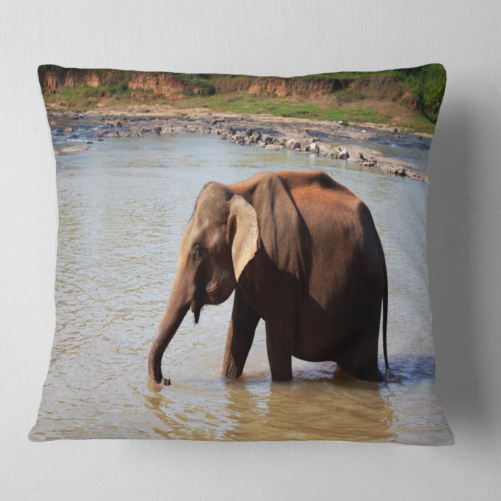 Designart Elephant in Water in Sri Lanka - African Throw Pillow - 18x18
