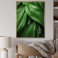thumbnail image 1 of Designart "Embracing Exotic Palmscape In Emerald Hues II" Palms & Palm Trees Floater Framed Canvas Prints, 1 of 5