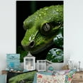 thumbnail image 1 of Designart "Emerald Coil Serenity" Animals Snake Canvas Art Print, 1 of 7