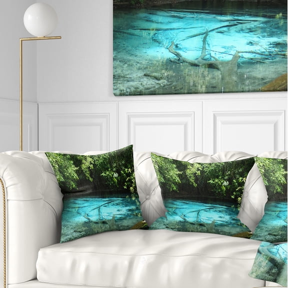 Designart Emerald Pond in Deep Forest - Landscape Photography Throw Pillow - 16x16