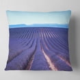 thumbnail image 1 of Designart Endless Rows of Lavender Flowers - Floral Throw Pillow - 16x16, 1 of 4