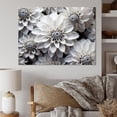 thumbnail image 1 of Designart "Essential Beauty In Black And White Mums" Mums Canvas Art Print, 1 of 7