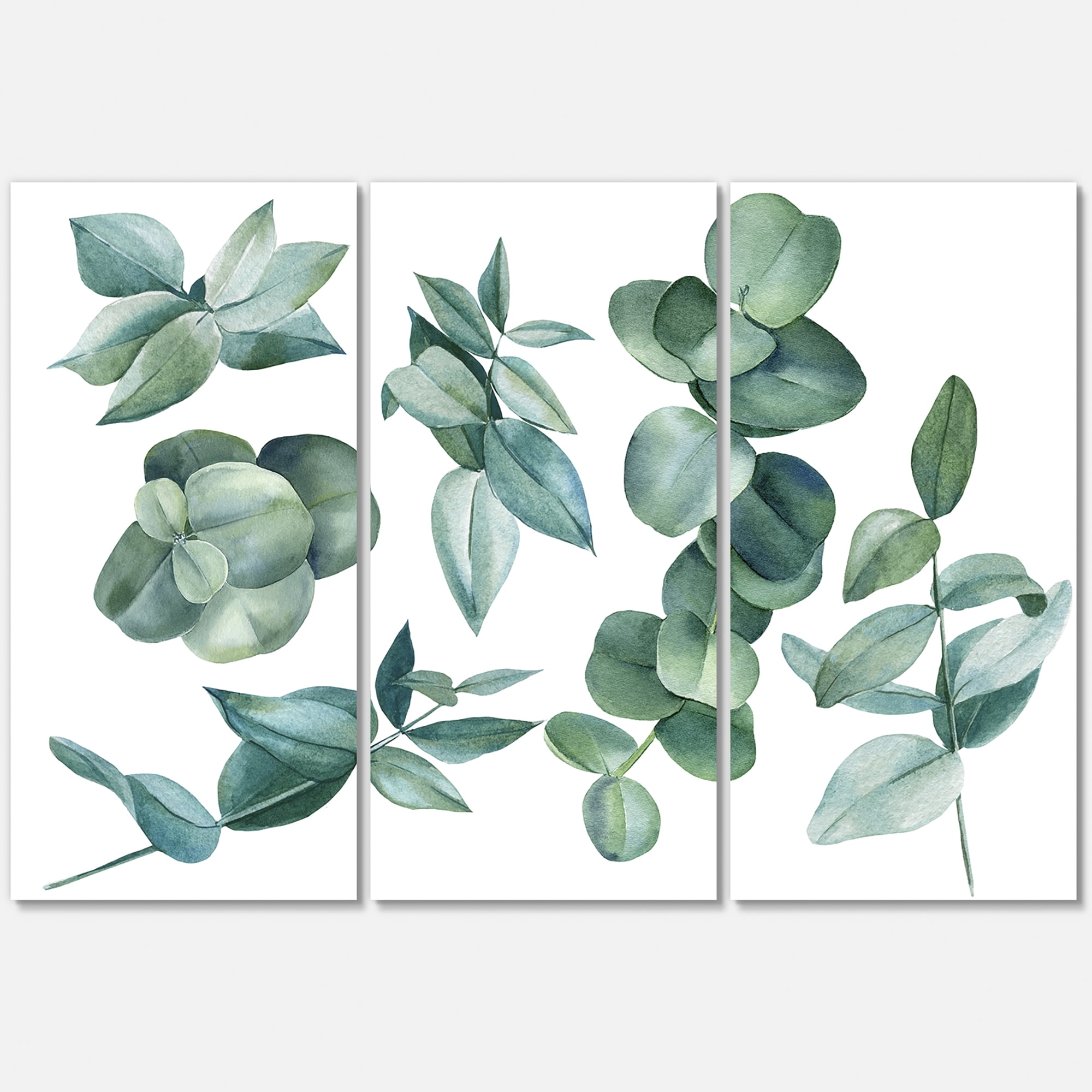 Designart ' Eucalyptus Leaves In Dark Green ' Traditional Canvas Wall Art Print