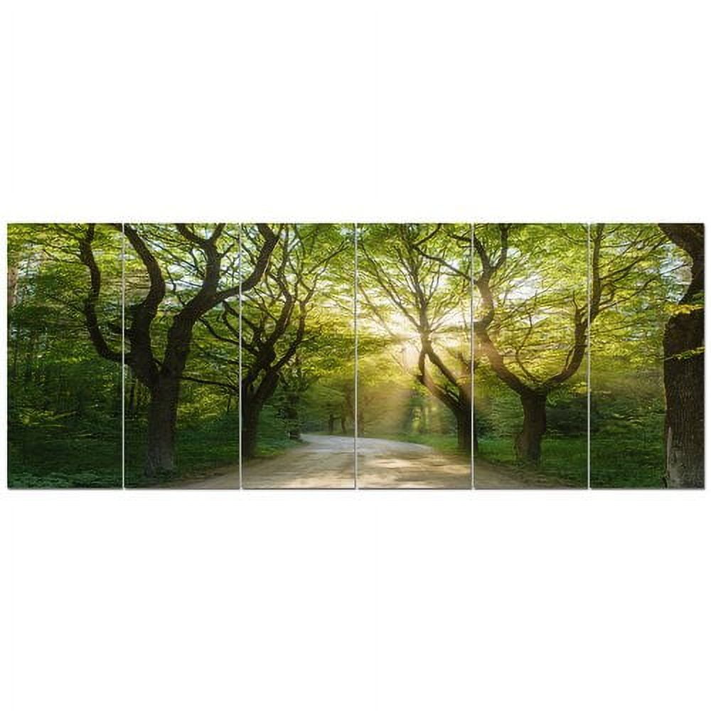Designart 'Evening in Green Forest ' Landscape Canvas Art Print