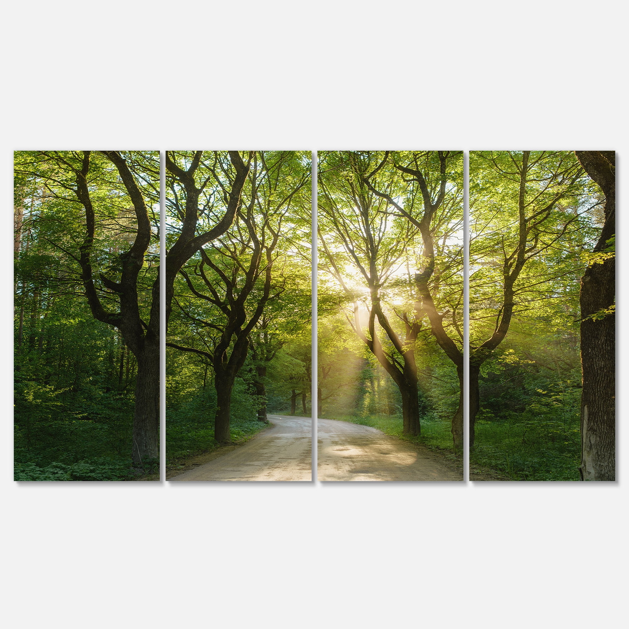 Designart 'Evening in Green Forest ' Landscape Canvas Art Print