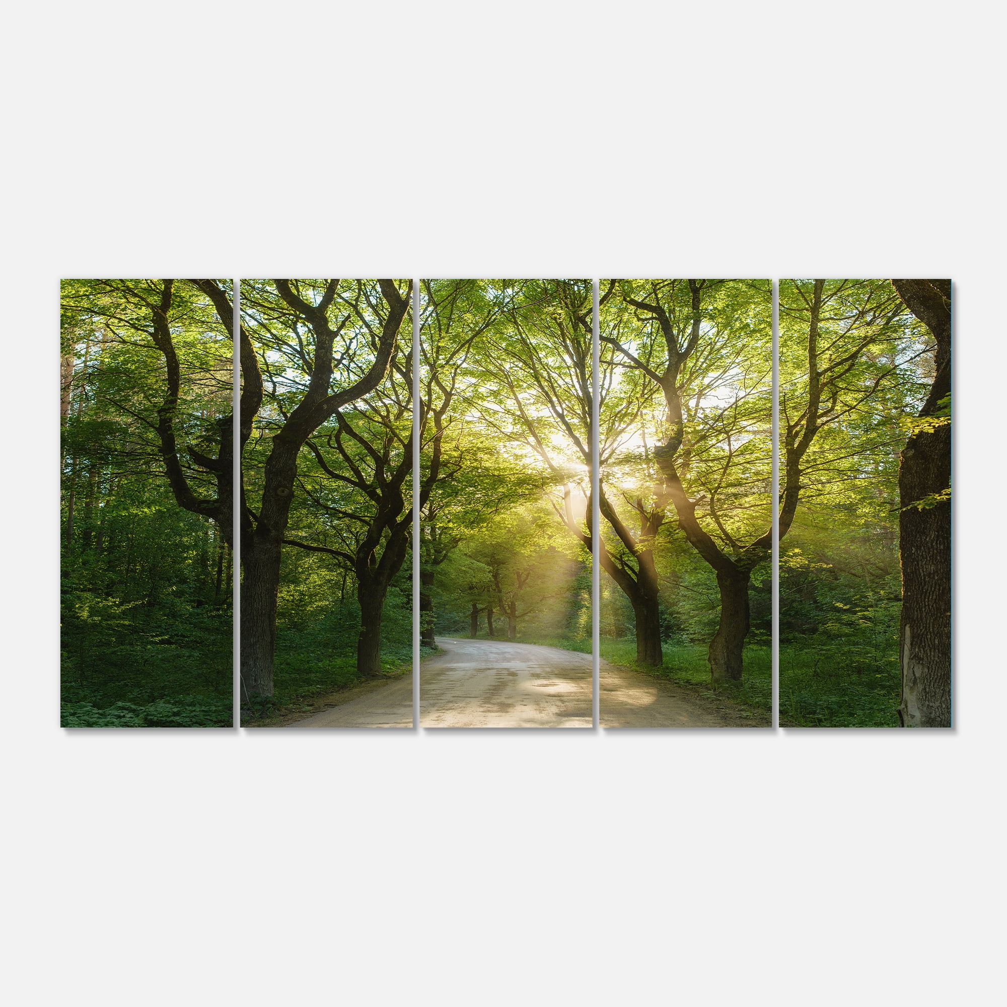 Evening Green Forest Landscape Canvas Art Print, 60"x28"