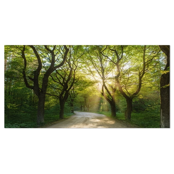 Designart 'Evening in Green Forest ' Landscape Canvas Art Print