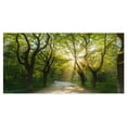 thumbnail image 1 of Designart 'Evening in Green Forest ' Large landscape Canvas Art Print, 1 of 3