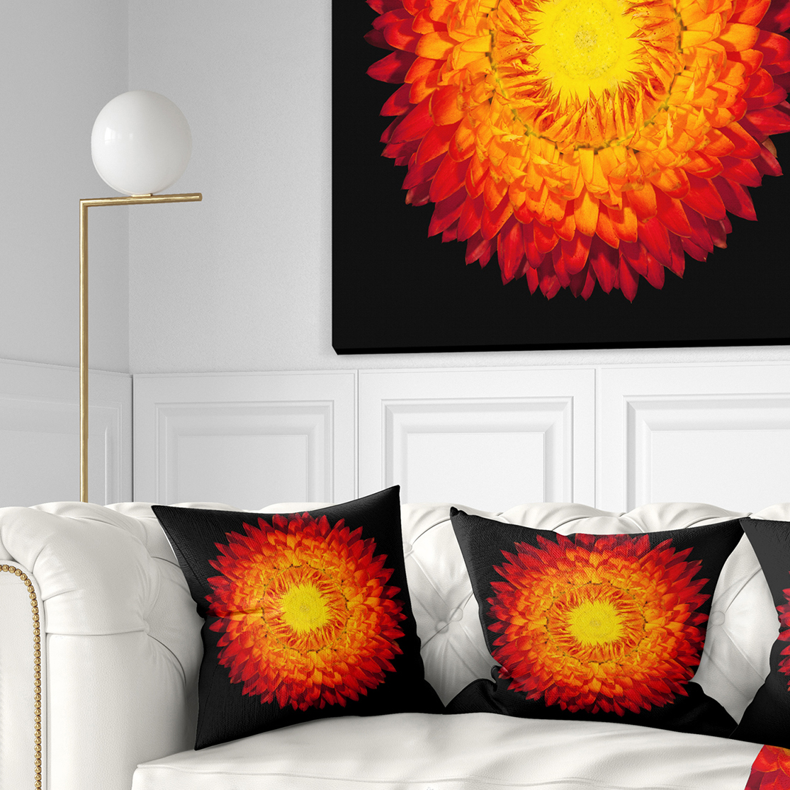 Designart Everlasting Straw Flower on Black - Flowers Throw Pillowwork - 16x16