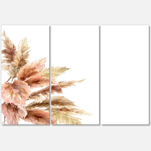 Designart ' Exotic Dry Pampas Grass On White Background ' Traditional Canvas Wall Art Print