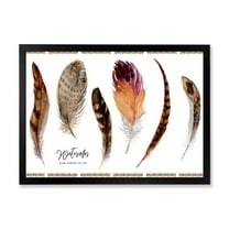 Designart 'Exotic Vibrant Boho Watercolor Feathers' Bohemian & Eclectic Framed Art Print
