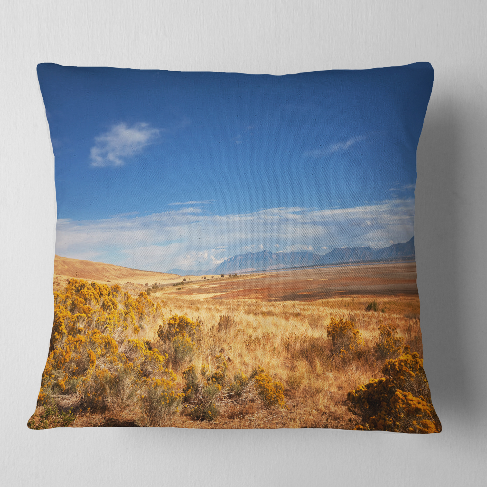Designart Expansive Prairie under Blue Sky - Landscape Printed Throw Pillow - 16x16