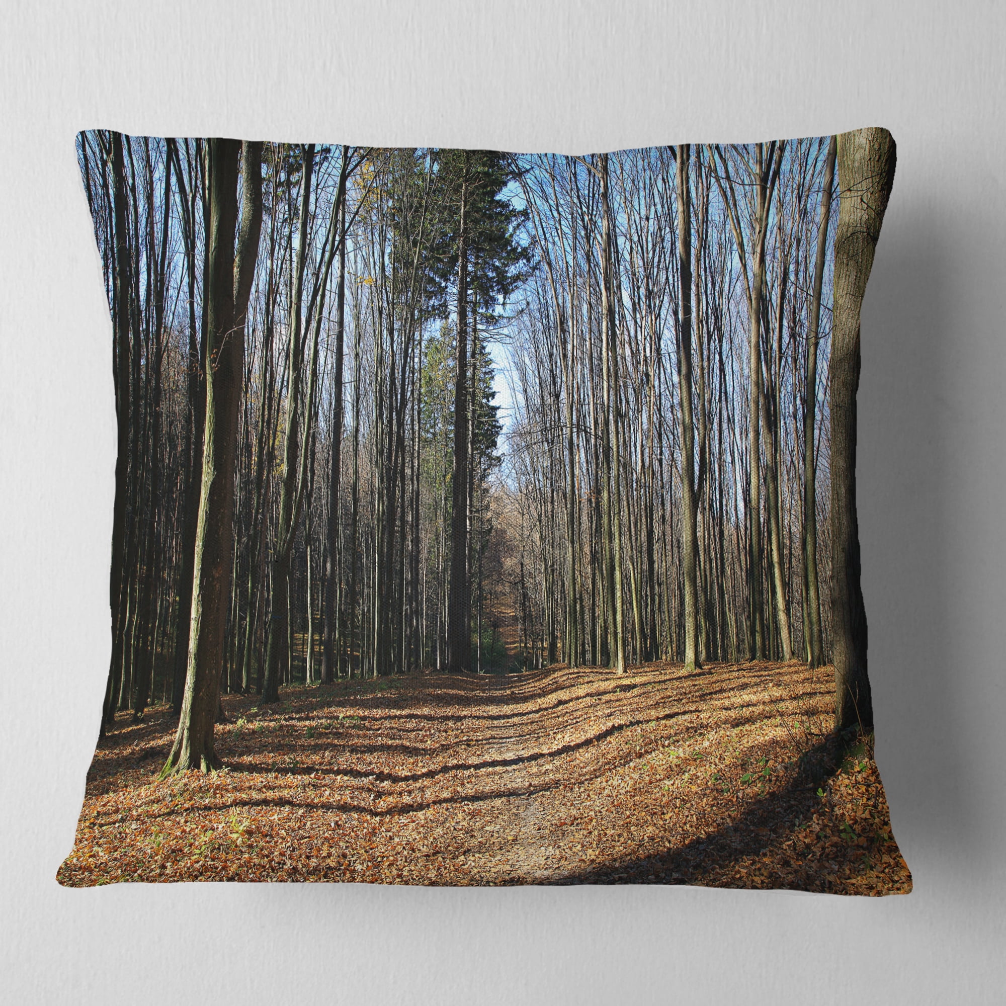 Designart Fall Forest in Sunlight and Shadows - Modern Forest Throw Pillow - 16x16
