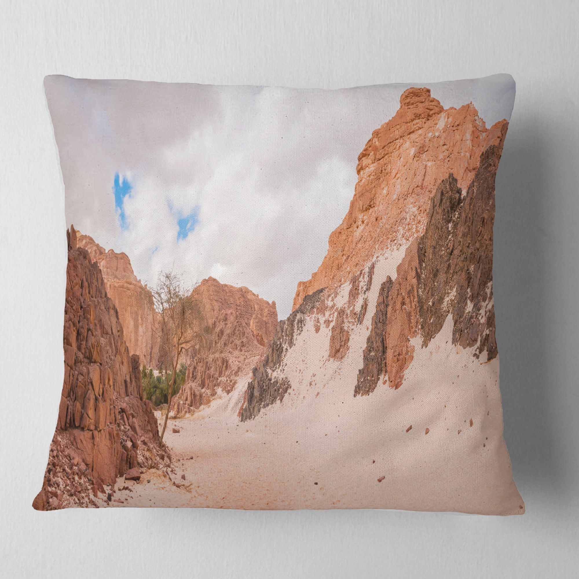 Designart Fantastic Panorama of White Canyon - Landscape Printed Throw Pillow - 16x16