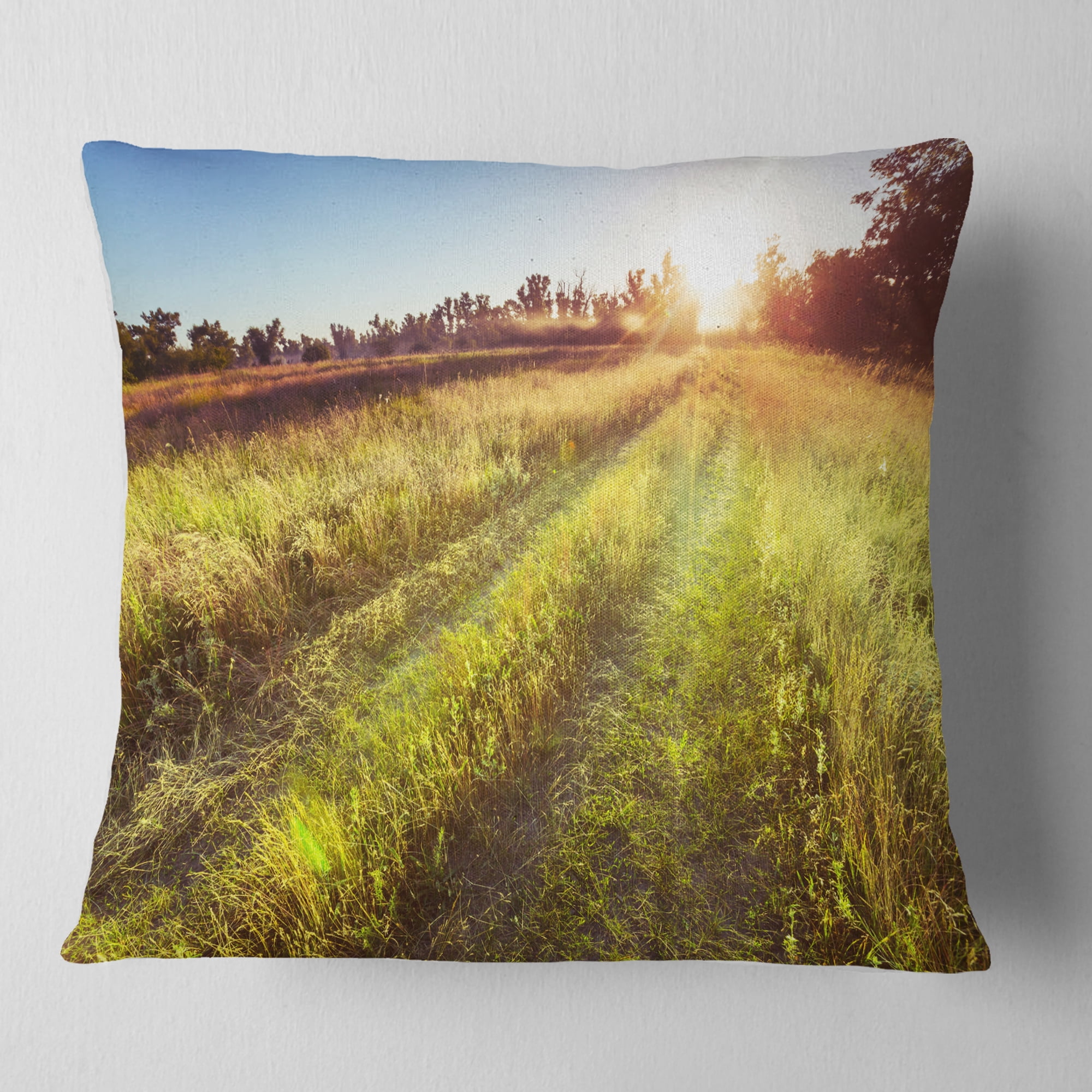 Designart Farm Road in Rural Meadow - Landscape Printed Throw Pillow - 16x16