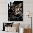 thumbnail image 1 of Designart "Feline Gaze IV" Animals Floater Framed Canvas Print, 1 of 7