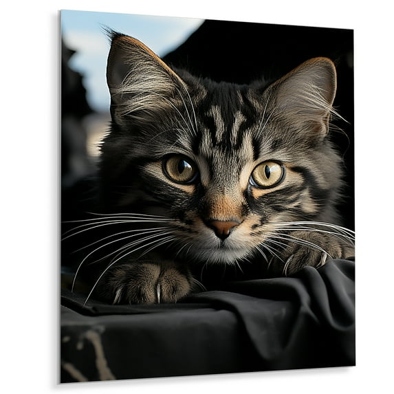 Designart "Feline Gaze IV" Animals Metal Art Print