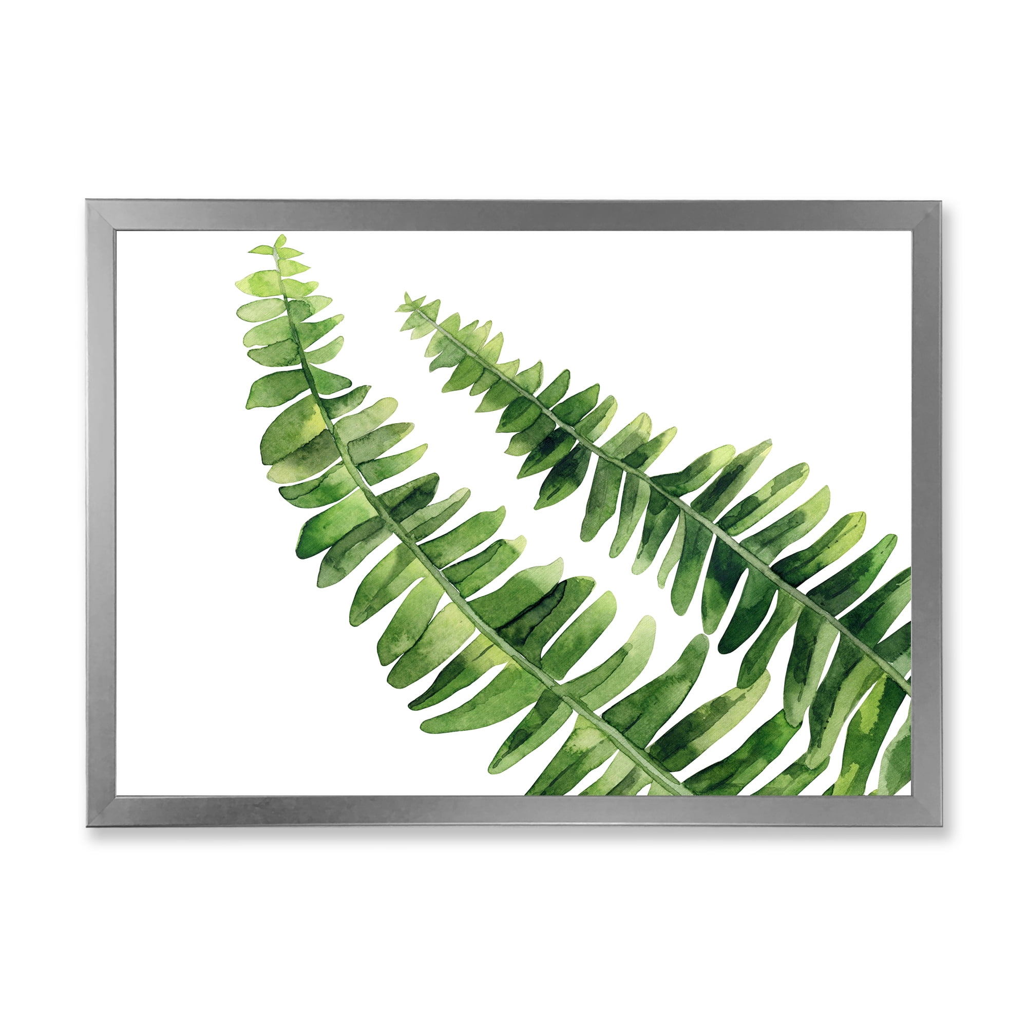 Designart 'Fern Plant Leaves Detail I' Farmhouse Framed Art Print