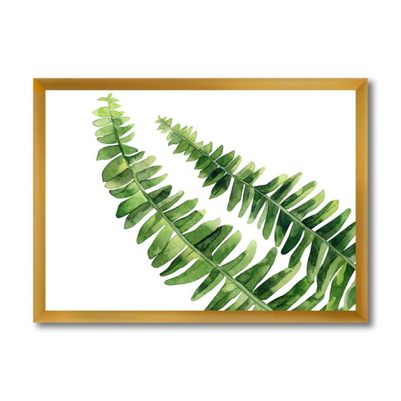 Designart 'Fern Plant Leaves Detail I' Farmhouse Framed Art Print