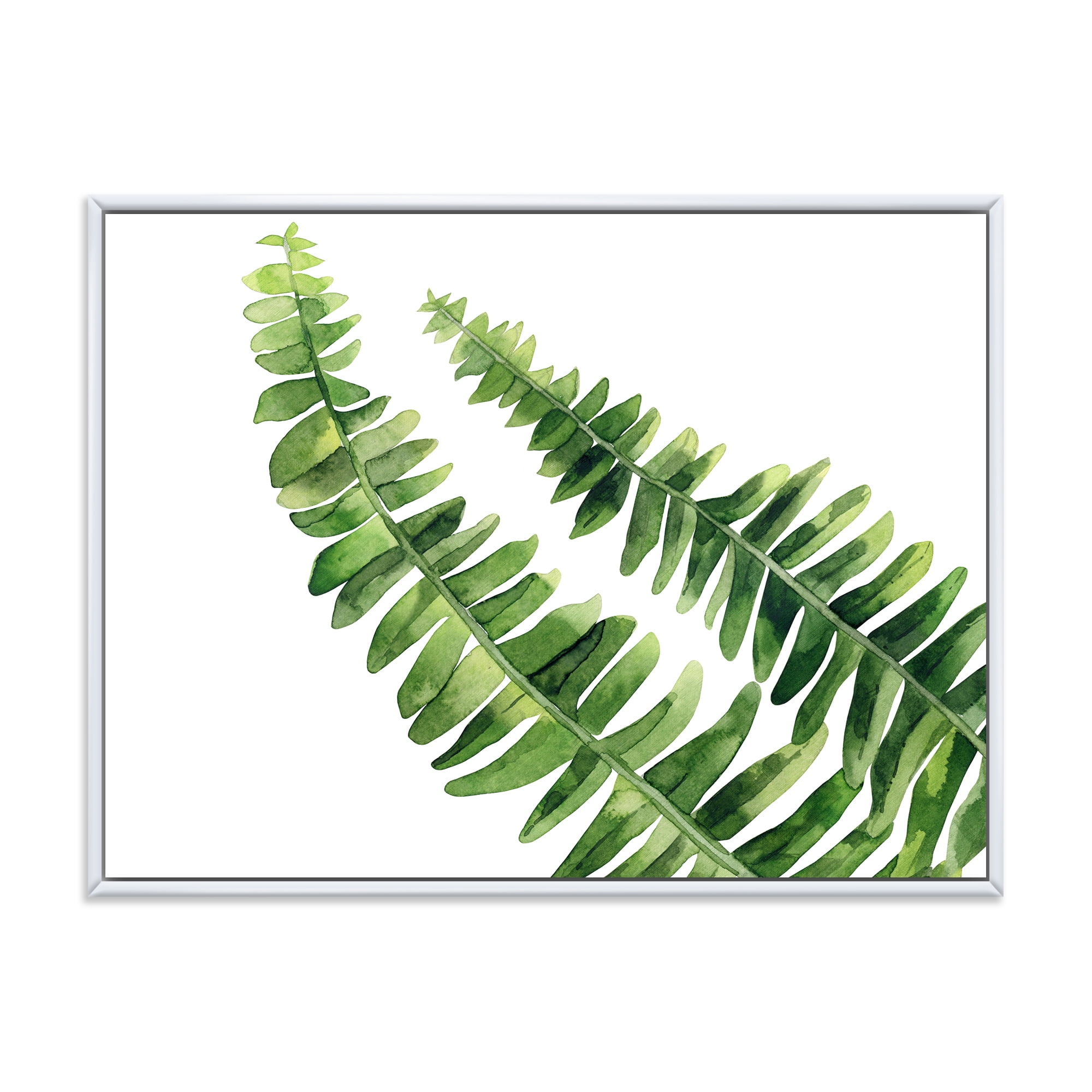 Designart 'Fern Plant Leaves Detail I' Farmhouse Framed Canvas Wall Art Print