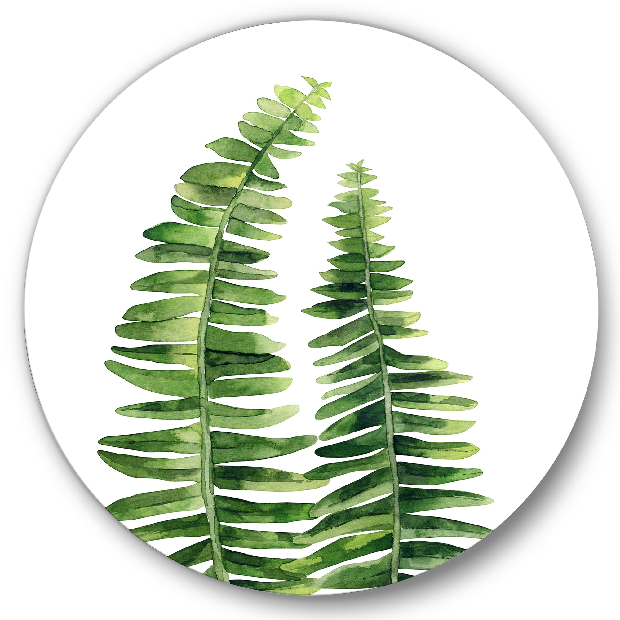 Designart 'Fern Plant Leaves Detail IV' Farmhouse Circle Metal Wall Art 23x23 - Disc of 23