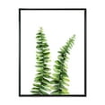 thumbnail image 1 of Designart 'Fern Plant Leaves Detail V' Tropical Framed Canvas Wall Art Print, 1 of 5