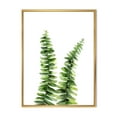 thumbnail image 1 of Designart 'Fern Plant Leaves Detail V' Tropical Framed Canvas Wall Art Print, 1 of 5