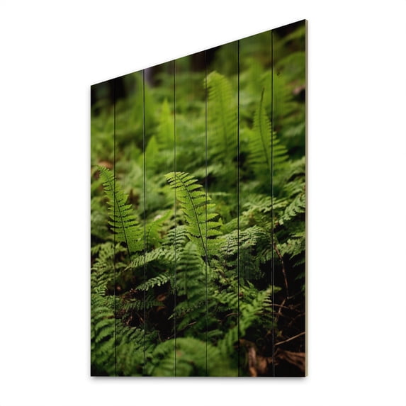 Designart "Ferns Natural Patterns" Floral Print on Natural Pine Wood