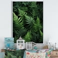 thumbnail image 1 of Designart "Ferns Plant Fronds I" Floral & Botanical Floater Framed Wall Art Print, 1 of 7