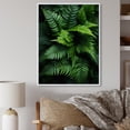 thumbnail image 1 of Designart "Ferns Plant Monochrome Euphony I" Floral & Botanical Floater Framed Canvas Print, 1 of 7