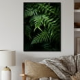 thumbnail image 1 of Designart "Ferns Plant Mystical Forms I" Floral & Botanical Floater Framed Wall Decor, 1 of 7