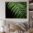 thumbnail image 1 of Designart "Ferns peaceful Resilience" Floral Floater Framed Wall Decor, 1 of 7