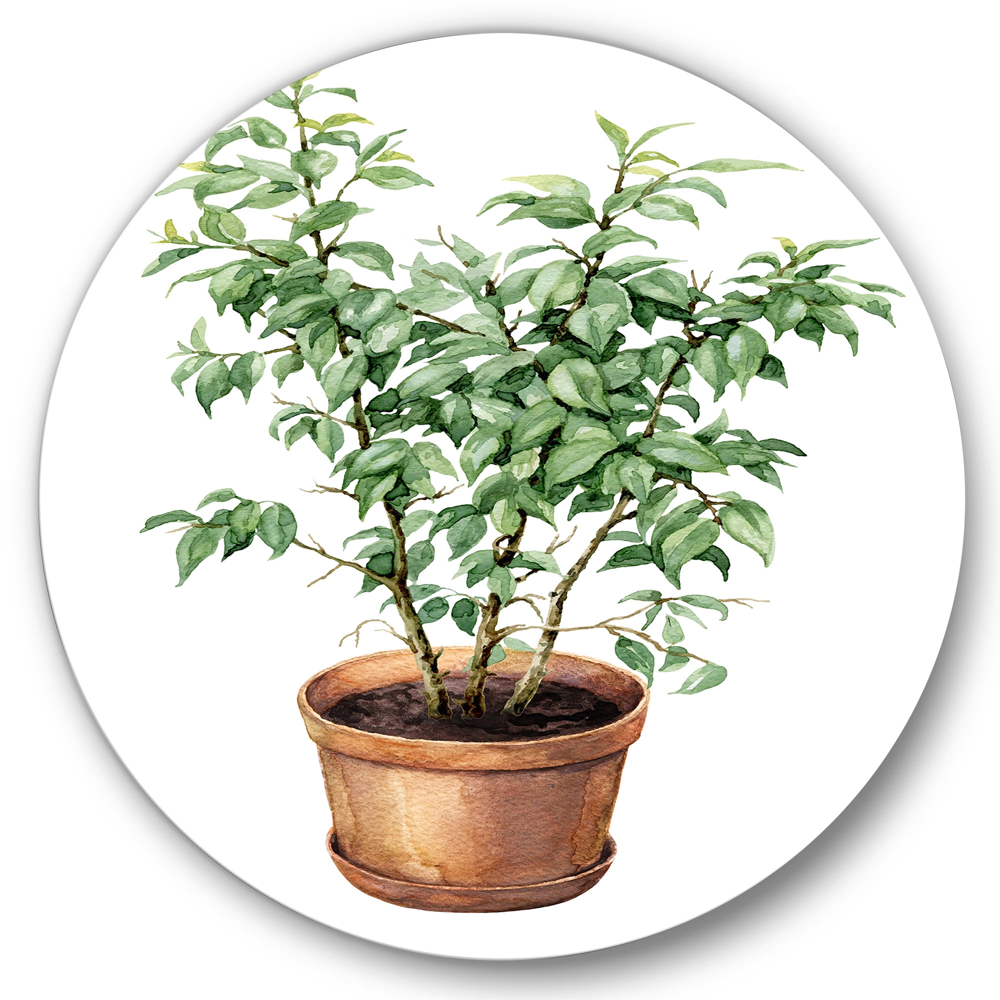 Designart 'Ficus Benjamina Plant In Clay Flowerpot' Traditional Circle Metal Wall Art 23x23 - Disc of 23