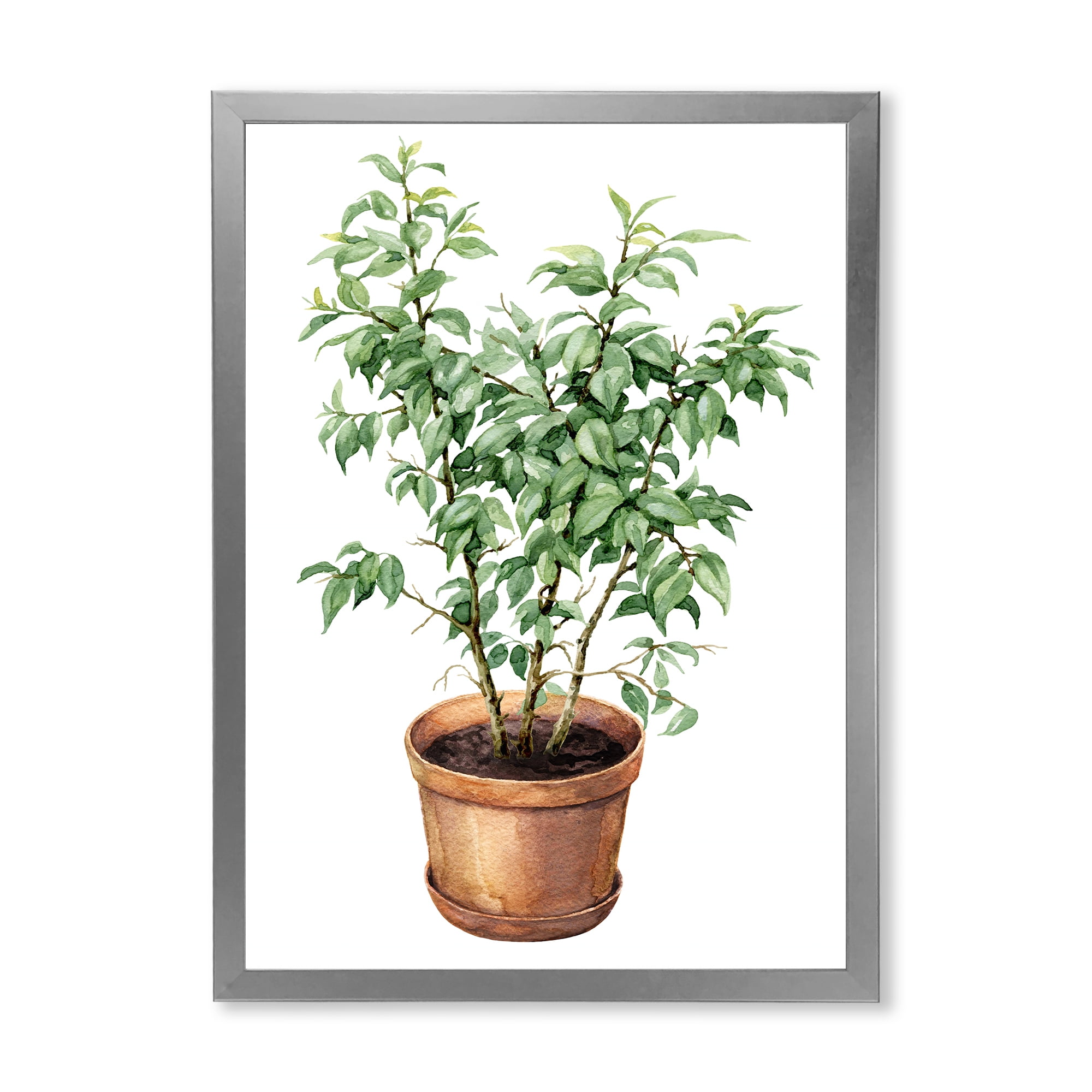 Designart 'Ficus Benjamina Plant In Clay Flowerpot' Traditional Framed Art Print