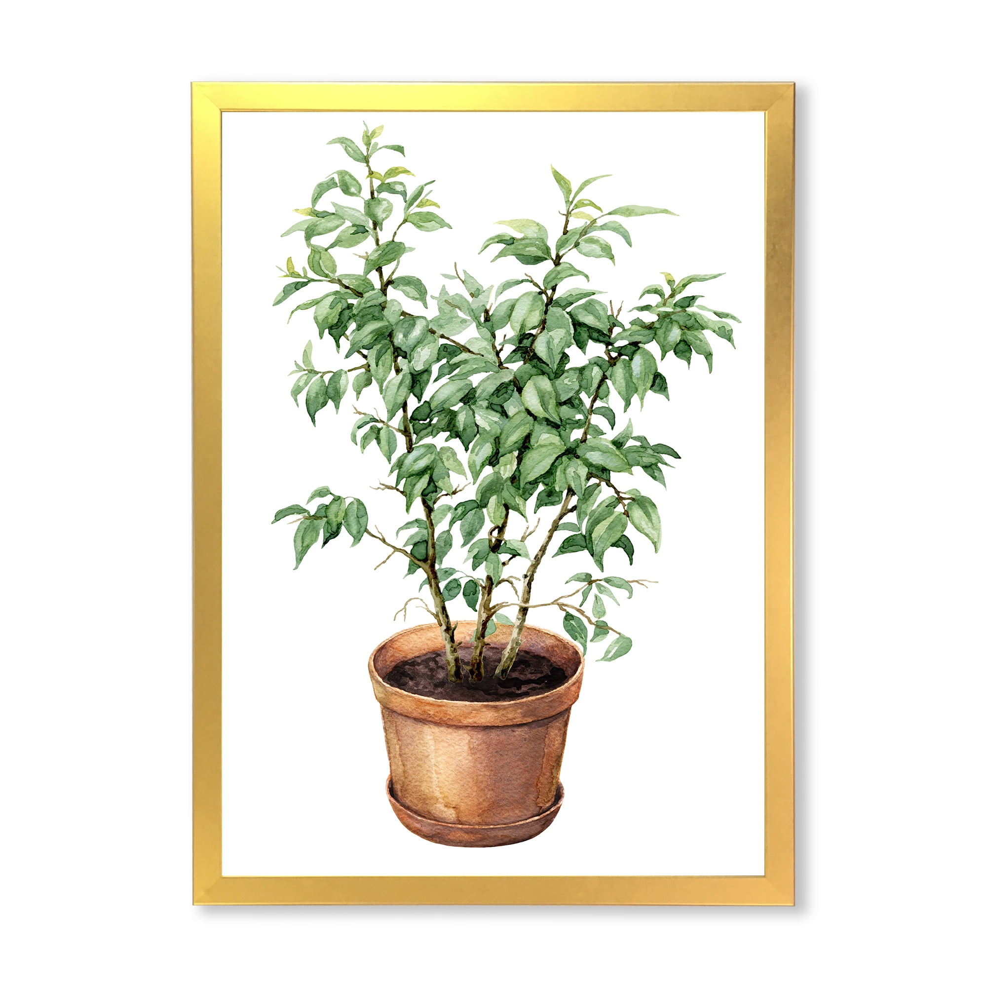 Designart 'Ficus Benjamina Plant In Clay Flowerpot' Traditional Framed Art Print