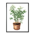 thumbnail image 1 of Designart 'Ficus Benjamina Plant In Clay Flowerpot' Traditional Framed Canvas Wall Art Print, 1 of 5