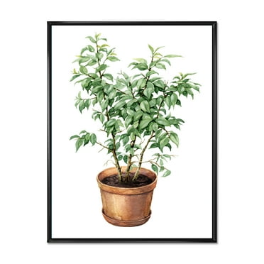 Designart 'Ficus Benjamina Plant In Clay Flowerpot' Traditional Framed Canvas Wall Art Print
