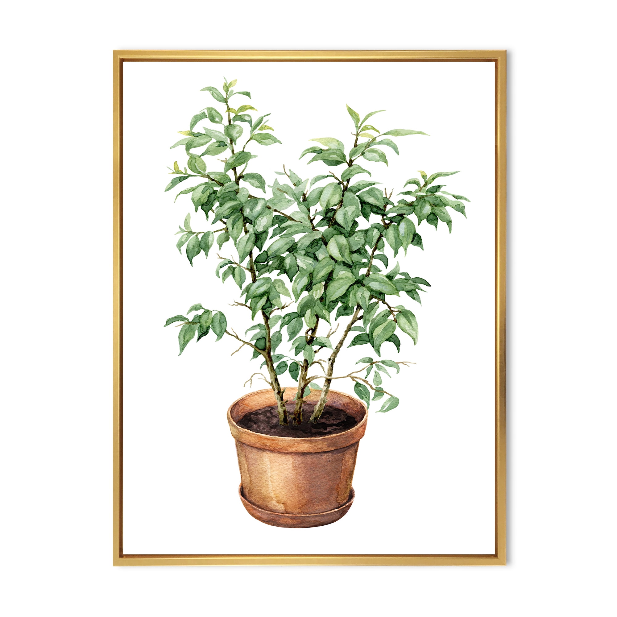 Designart 'Ficus Benjamina Plant In Clay Flowerpot' Traditional Framed Canvas Wall Art Print