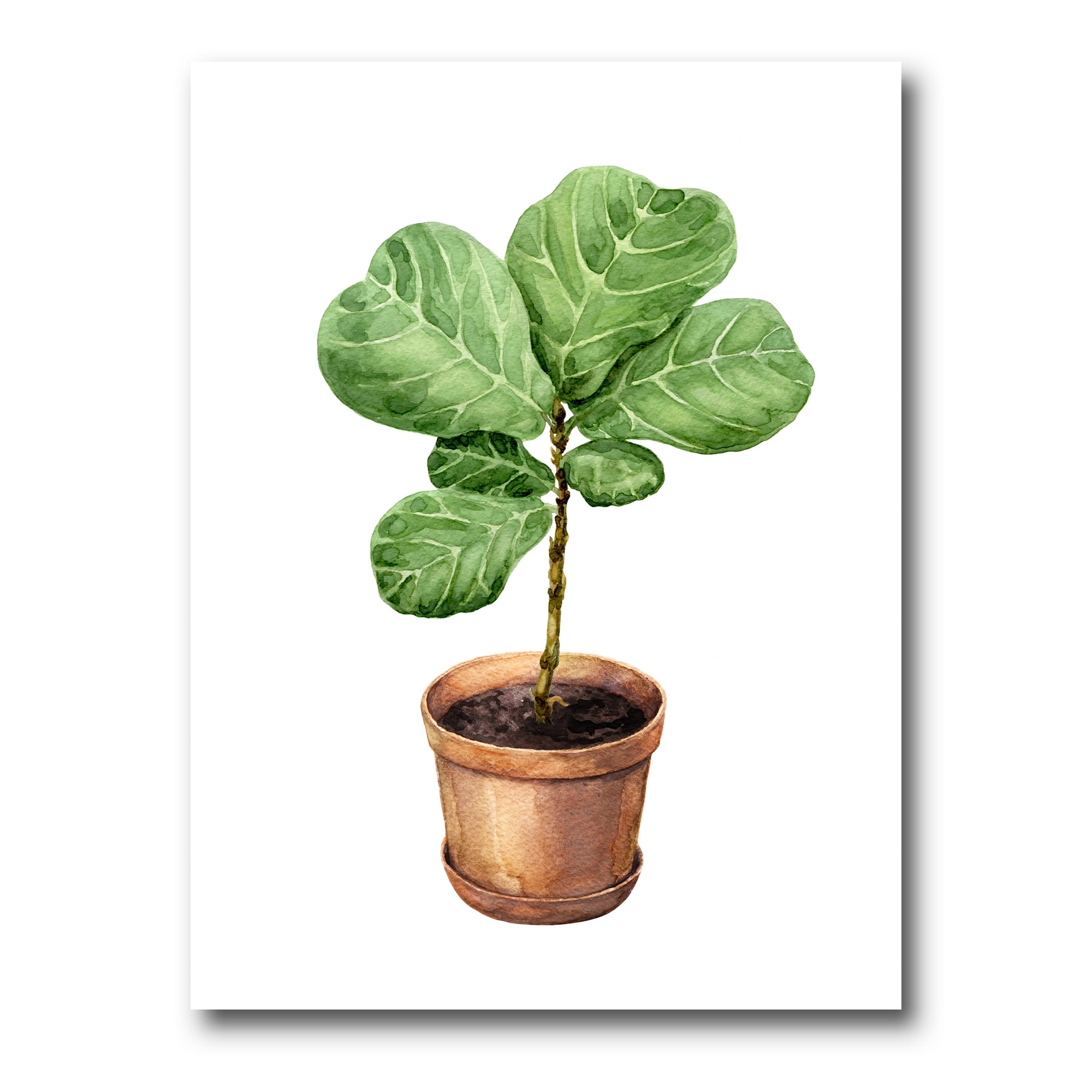Designart ' Ficus Lyre Plant In Clay Flowerpot ' Traditional Canvas Wall Art Print