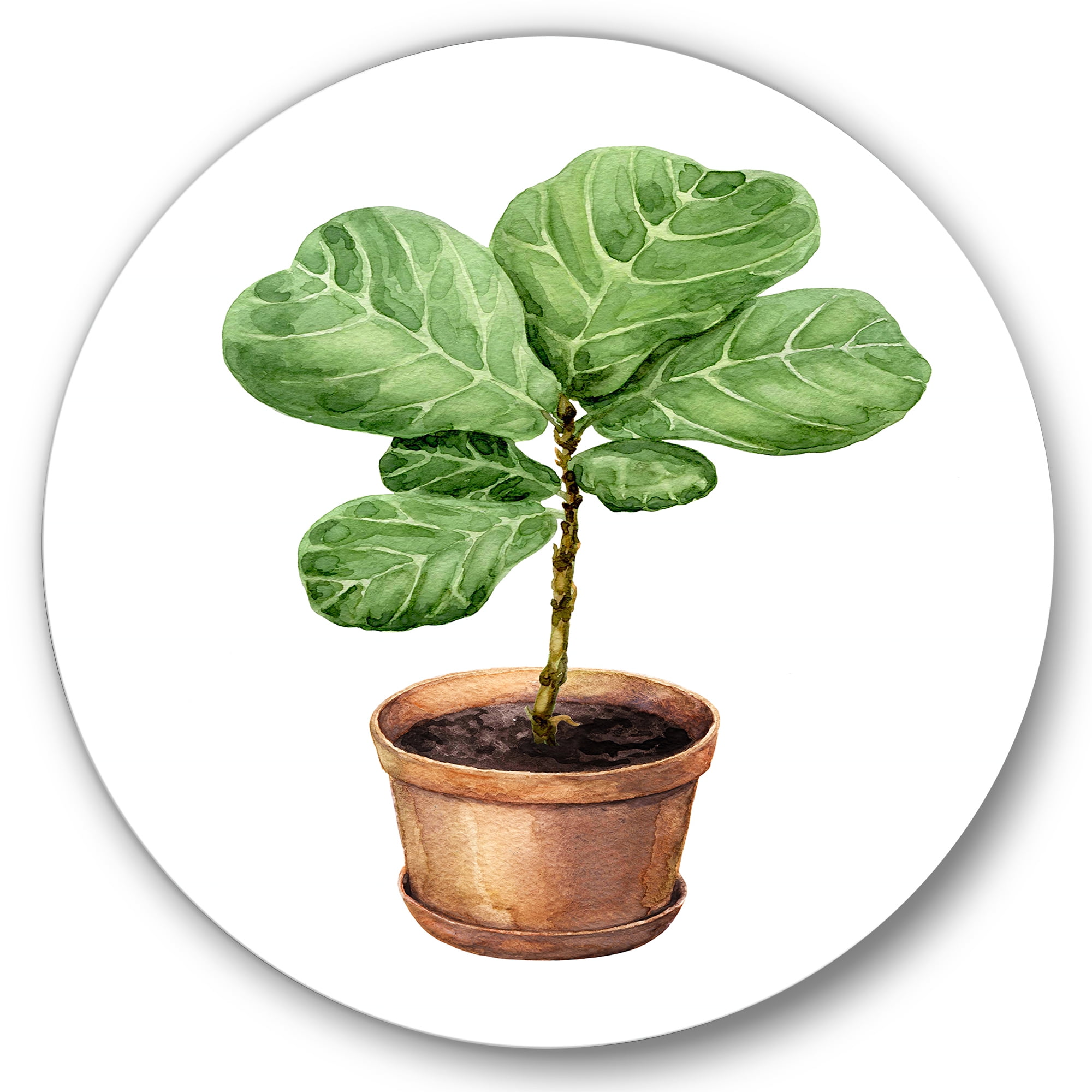 Designart 'Ficus Lyre Plant In Clay Flowerpot' Traditional Circle Metal Wall Art 23x23 - Disc of 23