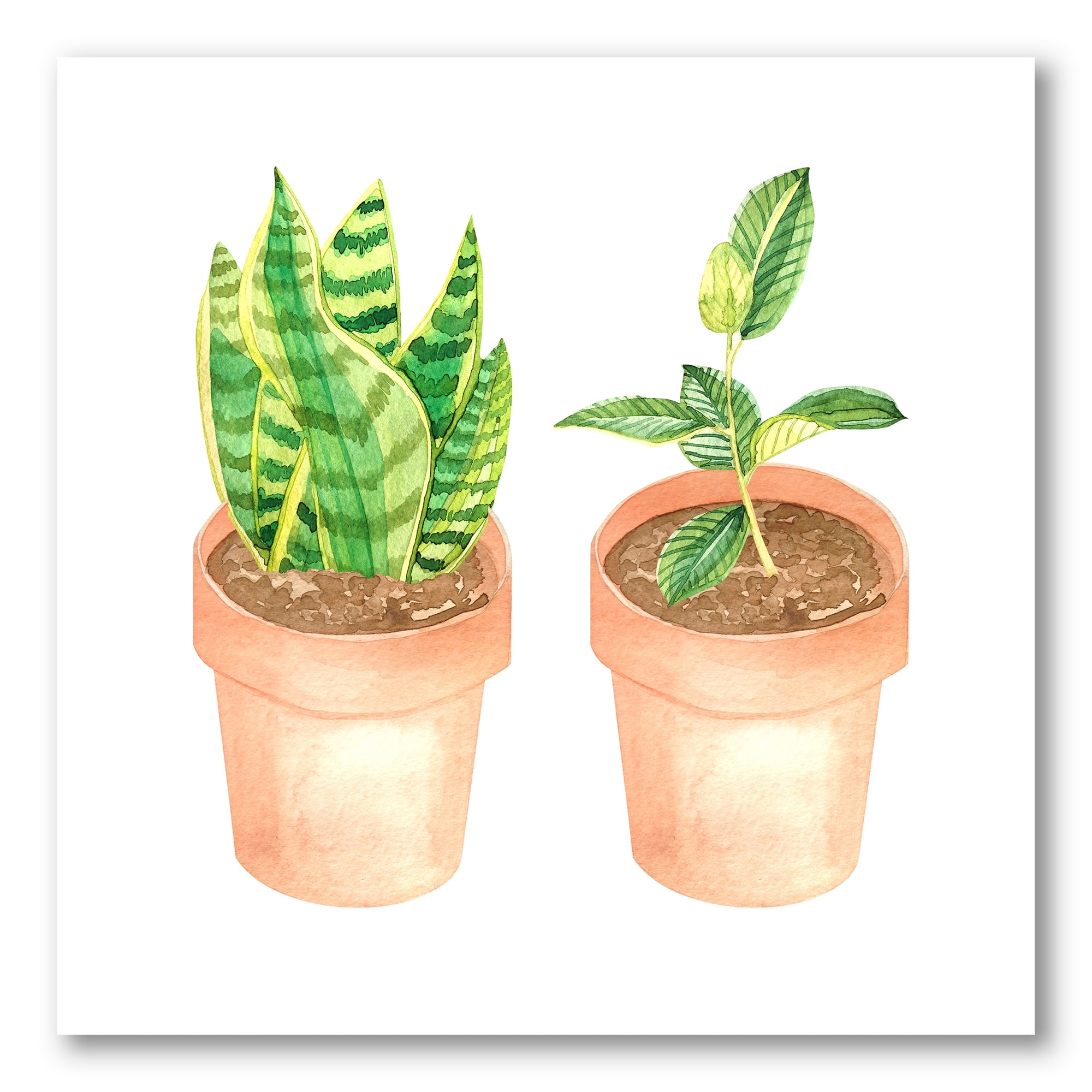 Designart ' Ficus and Sansevieria Indoor Green Home House Plants ' Traditional Canvas Wall Art Print