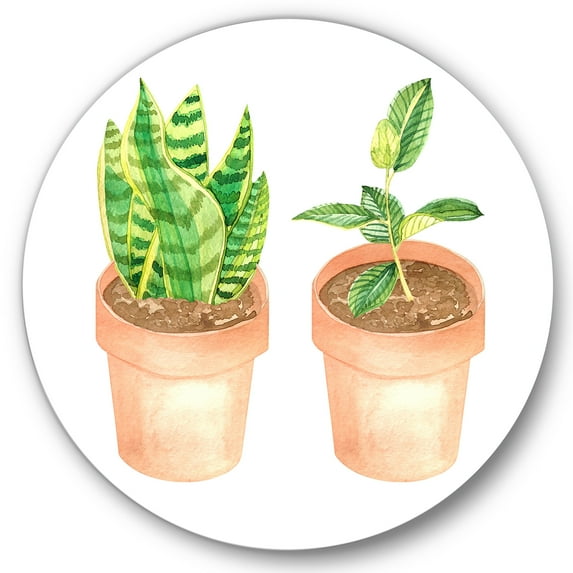 Designart 'Ficus and Sansevieria Indoor Green Home House Plants' Traditional Circle Metal Wall Art 36x36 - Disc of 36