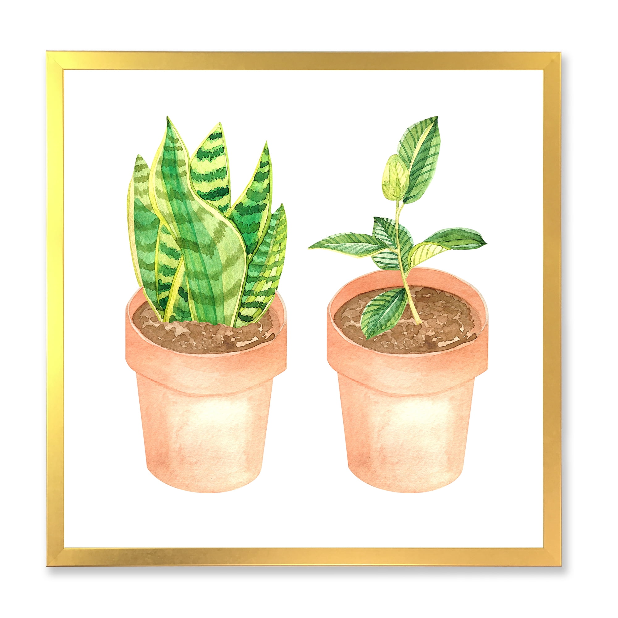 Designart 'Ficus and Sansevieria Indoor Green Home House Plants' Traditional Framed Art Print