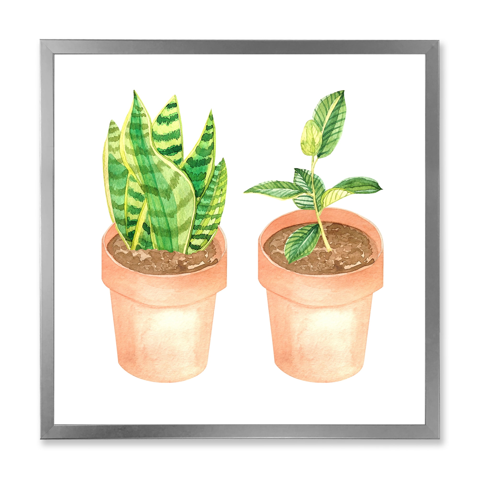 Designart 'Ficus and Sansevieria Indoor Green Home House Plants' Traditional Framed Art Print